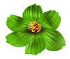 Hula Girl Paper Foam Hibiscus Color Assorted Flower Lei Hawa 3