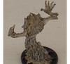 Shadow #60 Night Below D&d Miniatures Rpg 2