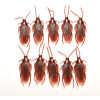 10 X Plástico Falso Cucaracha Roach Juguete Broma Broma Truc 3