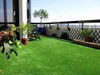 7 M2 (2,00 X 3,50 Mts ) Sintético Standard 10 Mm 5 7 M2 (2,00 X 3,50 Mts ) Sintético Standard 10 Mm 5