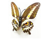 Dagou Decoración Pared Adhesivo Mariposa 3d (12u.) 4 Dagou Decoración Pared Adhesivo Mariposa 3d (12u.) 4