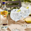 Gin Gordons Botella 700ml + 1 Copa Gin 4