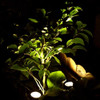 Focos Solares Para Estanque Aveki, 12 Luces Led Solares Suba 4