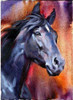 Pintura Por Diamantes 5d | Poster De 30x40 Cm | Caballo G... 0