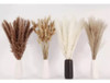100 Peças Secas De Capim De Pampas, Decoração De Capim De Pa 3