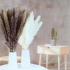 100 Peças Secas De Capim De Pampas, Decoração De Capim De Pa 7