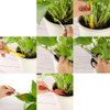 Juego Herramientas Bonsai Set X 13 Piezas 2