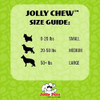 Jolly Pets Jolly Bone, Mediano/azul 3