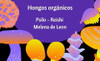 Hongo Melena De Leon 0 Hongo Melena De Leon 0