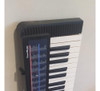 Teclado Tonebank Ca110 0