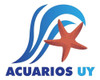 Pastillas De Vidrio P/filtro Acuario. Sera Siporax Mini 270g 1