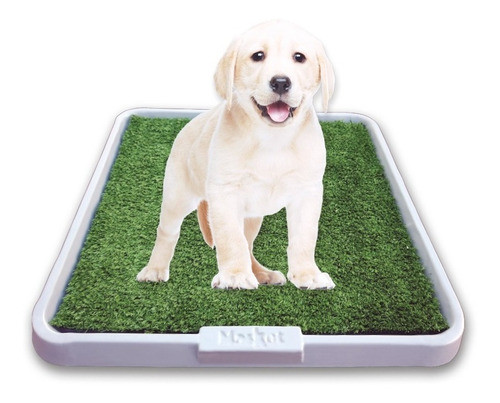 Césped Sintético Bandeja Sanitaria Para Perros Mercadolibre Pasto