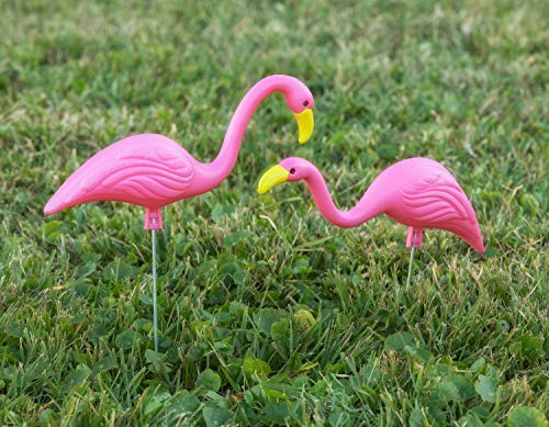 Bloem LLC G52 Mini-Flamingos, Klassisch, Pink, 14,7 X 7,1 Cm, 2