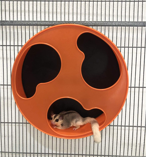 Amazon Non Squeaky Hamster Wheel Hamster Wheel Exotic