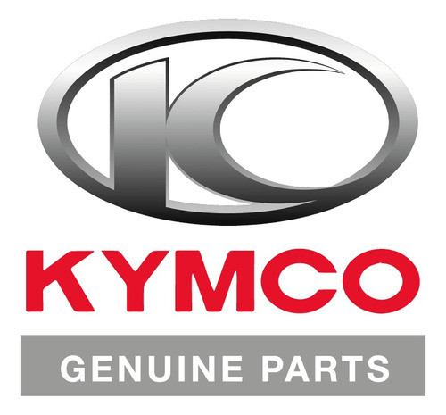 Acrílico Luz De Giro Delantero Izquierdo Kymco Like125 - Brm 1