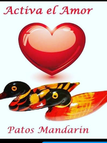 Patos Mandarin Feng Shui Regalo Parejas Amor Adorno 8 X 3 1