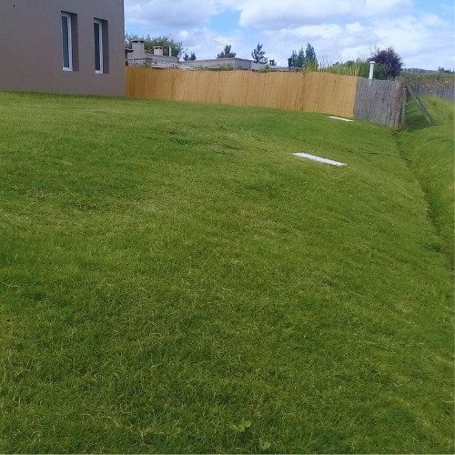 Césped Bermuda - Precio Especial Por 1000 M2 Con Colocación 1