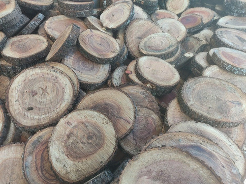 Rodajas De Madera Quebracho Para Camino Jardín Y Deco 1
