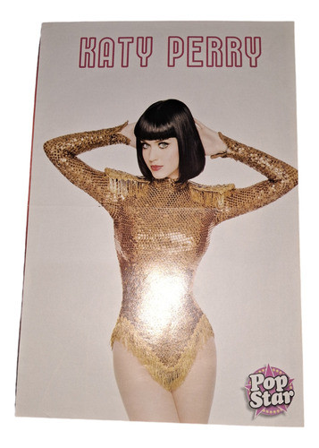 Mini Poster Katy Perry  42 X 28 0