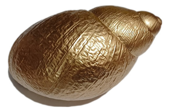 Ibi Caramujo Caracol Concha Casca Enfeite Assentamento 0