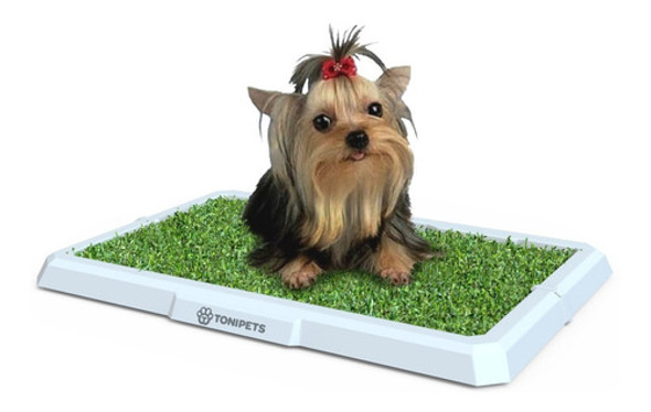 Bandeja Sanitaria Mini Tonipets Perros Cachorros Hembra 0