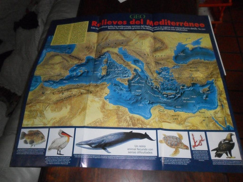 En Que Estado Se Encuentra El Mar Mediterraneo ??plano Mapa 0