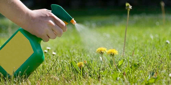 Herbicida Amina 2-4d 1 L - Malezas Hoja Ancha No Mata Césped 1
