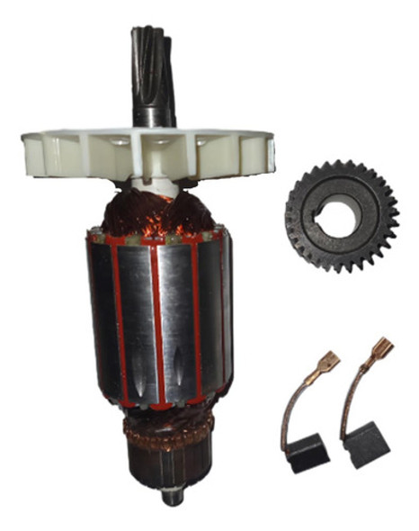 Rotor Carbones Engranaje Dowen Pagio 9993898 0