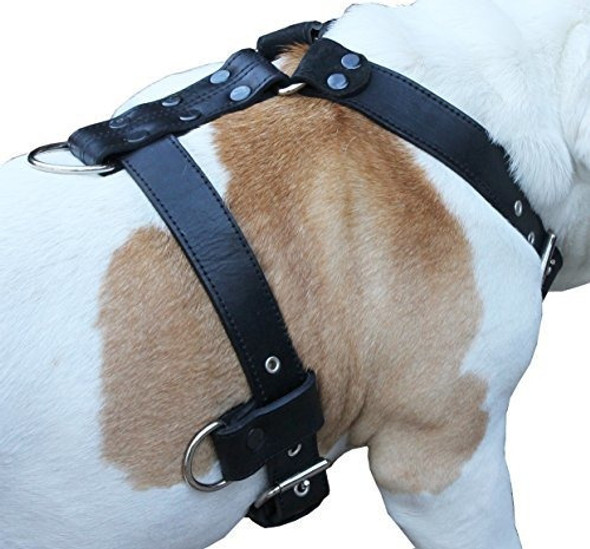 Arnes Para Perros De Cuero Genuino X-large 33  -40  Cofre, 0 Arnes Para Perros De Cuero Genuino X-large 33  -40  Cofre, 0