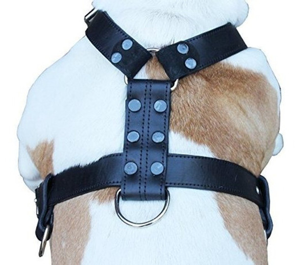 Arnes Para Perros De Cuero Genuino X-large 33  -40  Cofre, 1 Arnes Para Perros De Cuero Genuino X-large 33  -40  Cofre, 1