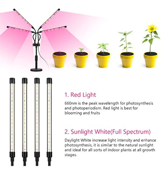 Luces De Cultivo Para Plantas De Interior, Cuatro Cabezales 1
