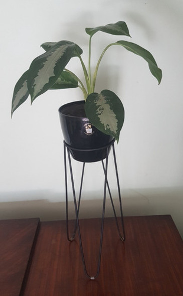 Porta Maceta Hierro De 50 Cm Altura. No Incluye Planta. Nº18 1