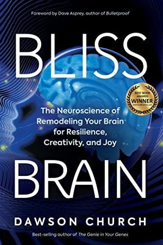 Book : Bliss Brain The Neuroscience Of Remodeling Your Brai 0
