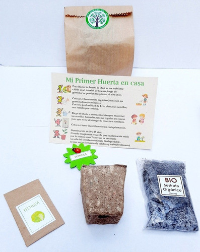 Mini Huerta Suvenir 40 Unidades 0