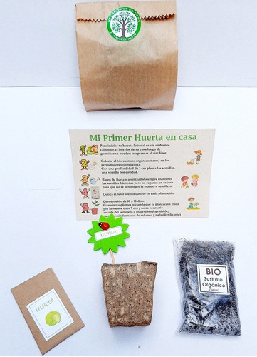 Mini Huerta Suvenir 40 Unidades 1