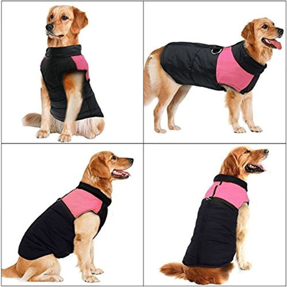 Didog Abrigo De Chaqueta De Chaleco Calido Para Perros De C 1 Didog Abrigo De Chaqueta De Chaleco Calido Para Perros De C 1