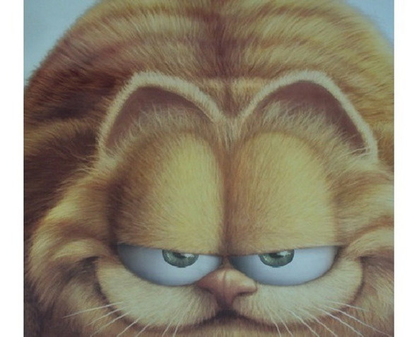 Poster Garfield 0
