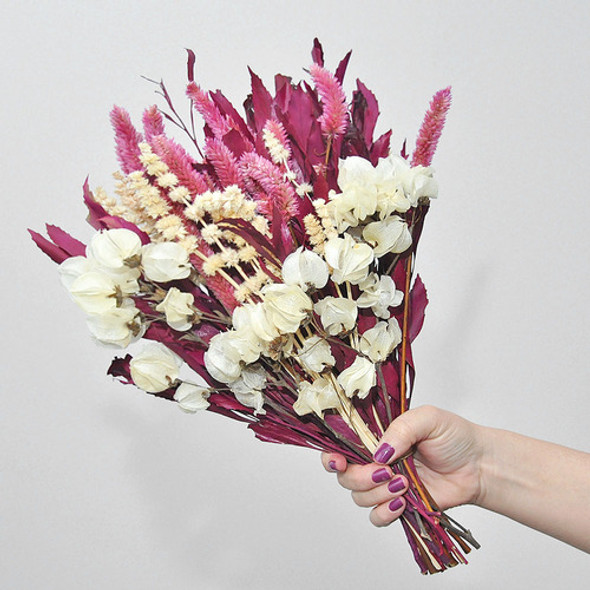 Buquê De Flores Desidratadas Rabo De Gato Rosa 0