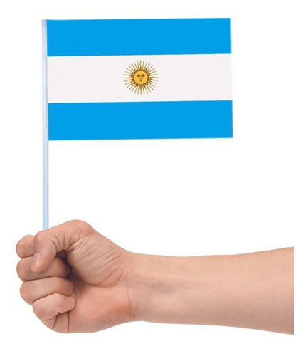 Banderas  Plasticas X 250 Argentina 15x25 Cotillon Patrios 0