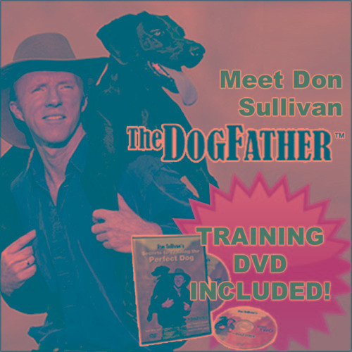 Perfecto De Don Sullivan Perro Comando Collar Entrenamiento 0