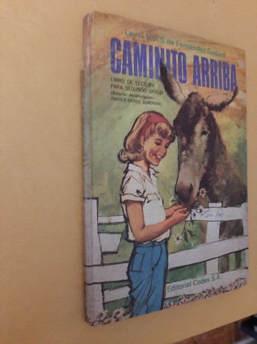 Caminito Arriba - Godard - Codex - 1968 1