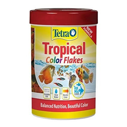 Tetra Color 28 Gr Original De Mundo Acuatico 1