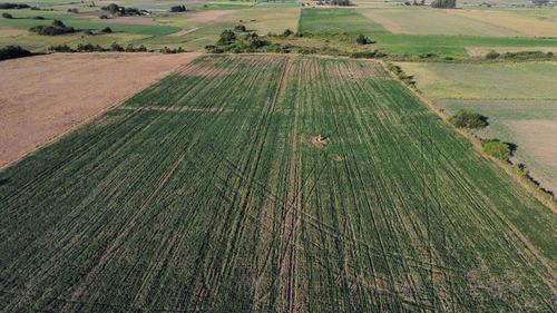 Chacra Con Aguada De 22 Has - 100% Agrícola 1