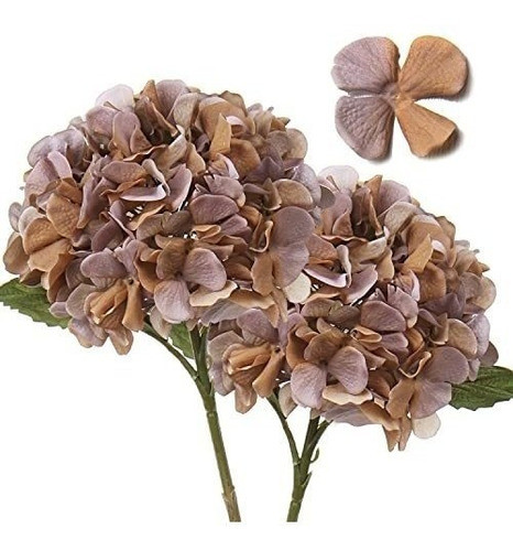 Hortensias Artificiales Diametro 17,7cm X 2u.-marron Purpura 0
