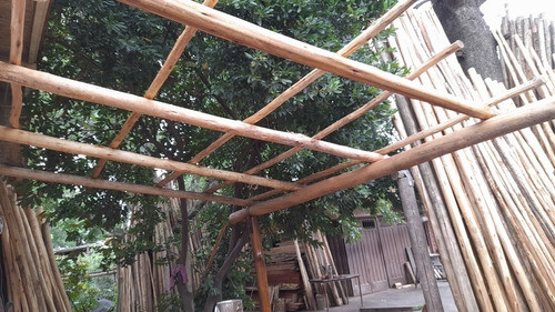 Postes Eucalipto 10 A 12 Cm De Diámetro 1