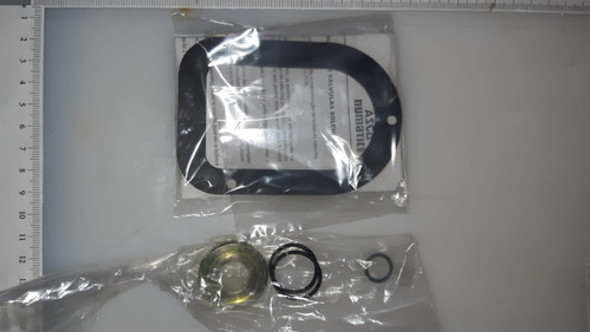 Kit De Reparo Para Válvulas Asco Numatics   Fv-325766 0 Kit De Reparo Para Válvulas Asco Numatics   Fv-325766 0