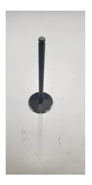 Valvula Escape Benelli Tnt25 Agrobikes 1