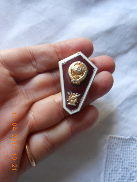 Insignia Militar Esmaltada De Rusia 0
