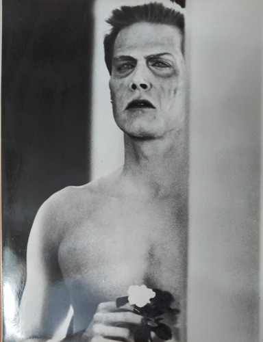 El Terror Llama A Tu Puerta Lobby Cards Fotos Originales 0