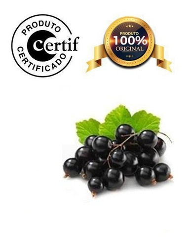 Óleo De Groselha Negra 1litro Prensado A Frio Com Laudo 0